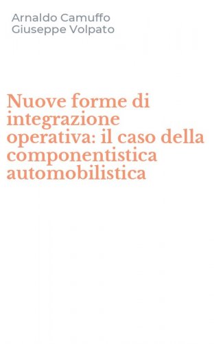 Nuove forme di integrazione operativa: il caso della componentistica automobilistica