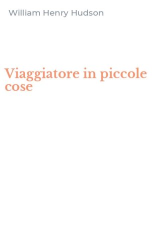 Viaggiatore in piccole cose