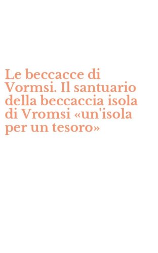 Le beccacce di Vormsi. Il santuario della beccaccia isola di Vromsi &laquo;un'isola per un tesoro&raquo;