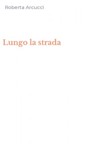 Lungo la strada