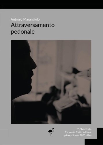 Attraversamento pedonale