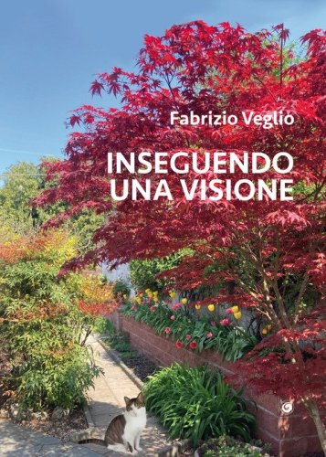 Inseguendo una visione