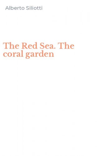 The Red Sea. The coral garden