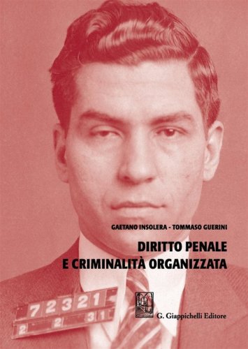 Diritto penale e criminalit&agrave; organizzata
