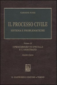 Il processo civile. Sistema e problematiche
