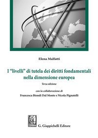I &laquo;livelli&raquo; di tutela dei diritti fondamentali nella dimensione europea