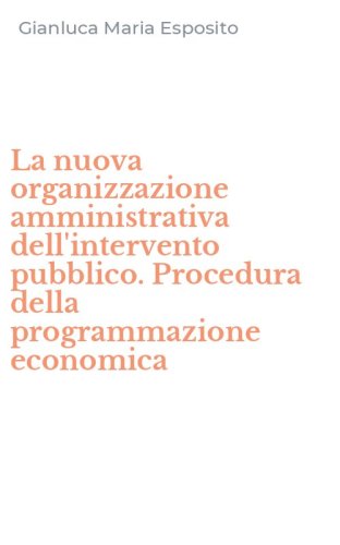 La nuova organizzazione amministrativa dell'intervento pubblico. Procedura della programmazione economica