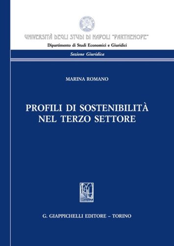Profili di sostenibilit&agrave; nel terzo settore