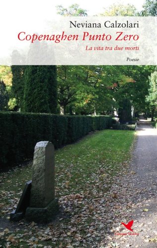 Copenaghen punto zero. La vita tra due morti