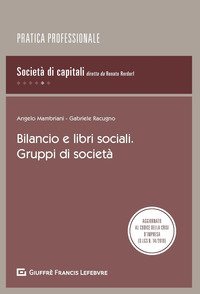 Bilancio e libri sociali. Gruppi di societ&agrave;