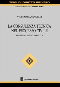 La consulenza tecnica nel processo civile. Problemi e funzionalit&agrave;