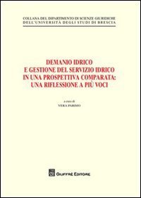 Demanio idrico e gestione del servizio idrico in una prospettiva comparata. Una riflessione a pi&ugrave; voci