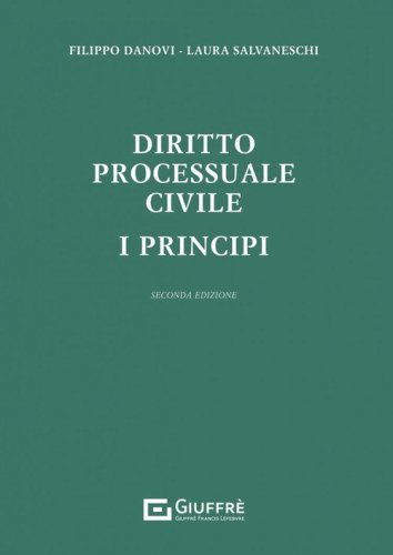 Diritto processuale civile. I principi