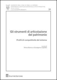 Gli strumenti di articolazione del patrimonio. Profili di competitivit&agrave; del sistema