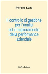 Il controllo di gestione per l'analisi ed il miglioramento della performance aziendale