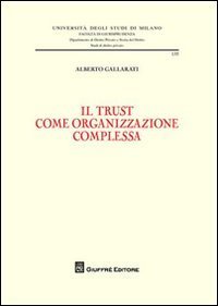 Il trust come organizzazione complessa