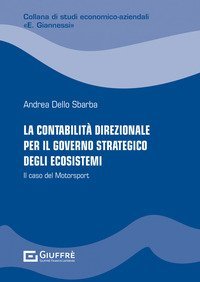 La contabilit&agrave; direzionale per il governo strategico degli ecosistemi. Il caso del Motorsport