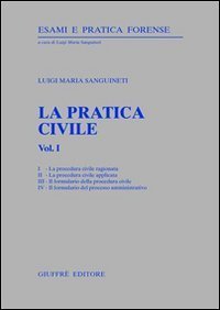 La pratica civile