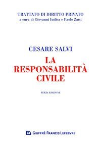 La responsabilit&agrave; civile
