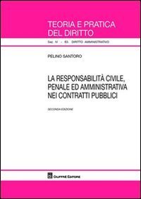 La responsabilit&agrave; civile, penale ed amministrativa nei contratti pubblici