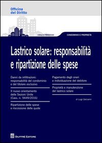 Lastrico solare. Responsabilit&agrave; e ripartizione delle spese