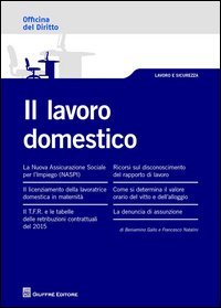 Il lavoro domestico