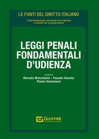 Leggi penali fondamentali d'udienza