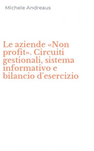 Le aziende &laquo;Non profit&raquo;. Circuiti gestionali, sistema informativo e bilancio d'esercizio