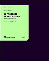 Il processo di esecuzione. Flussi processuali 2010