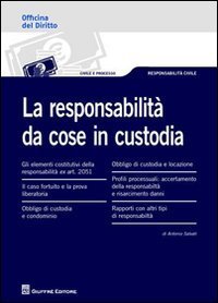 La responsabilit&agrave; da cose in custodia