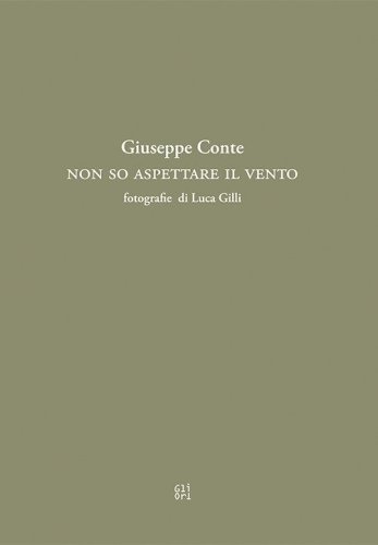 Non so aspettare il vento