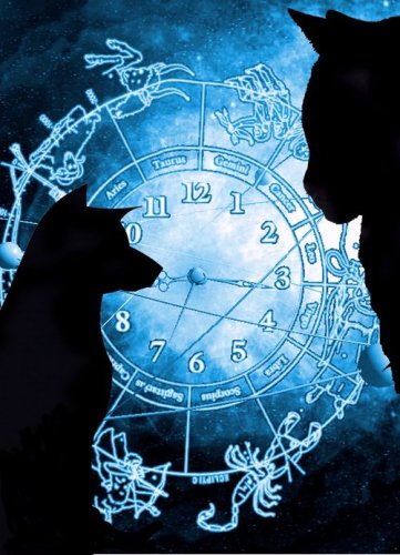 Astro gatto/cane. Previsioni 2015