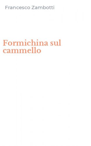 Formichina sul cammello