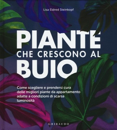 Piante che crescono al buio. Come scegliere e prendersi cura delle migliori piante d'appartamento adatte a condizioni di scarsa luminosit&agrave;