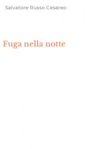 Fuga nella notte