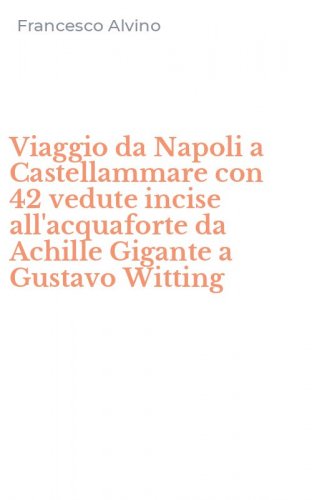 Viaggio da Napoli a Castellammare con 42 vedute incise all'acquaforte da Achille Gigante a Gustavo Witting