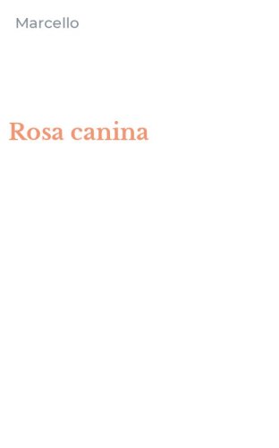 Rosa canina