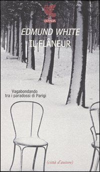 Il fl&acirc;neur. Vagabondando tra i paradossi di Parigi