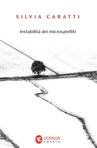 Instabilit&agrave; dei microsatelliti