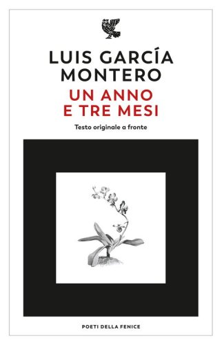 Un anno e tre mesi. Testo originale a fronte