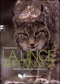 La lince appenninica. Svelato il mistero del &laquo;Gattopardo&raquo;?