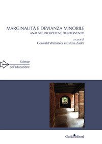 Marginalit&agrave; e devianza minorile. Analisi e prospettive di intervento