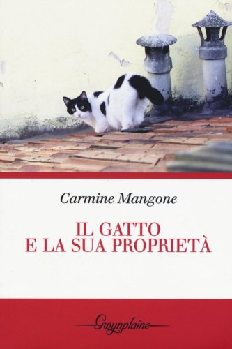Il gatto e la sua propriet&agrave;