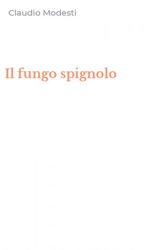Il fungo spignolo