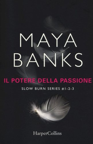 Il potere della passione. Slow burn series: Proteggimi-Tienimi-Salvami