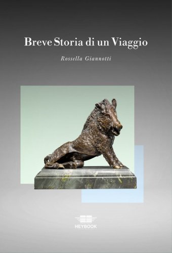 Breve storia di un viaggio