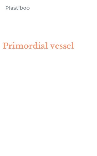 Primordial vessel