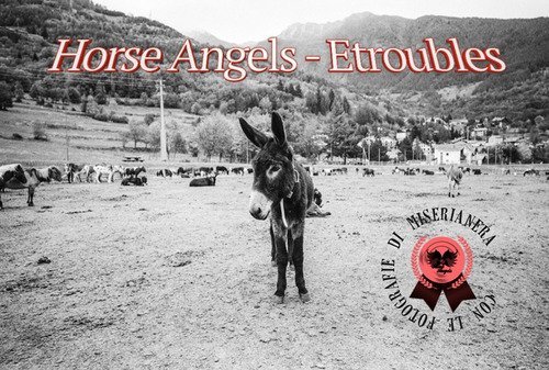 Horse Angels. Etroubles