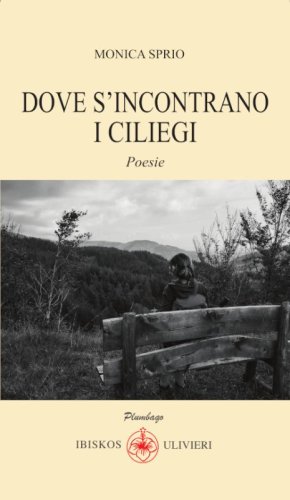 Dove s'incontrano i ciliegi