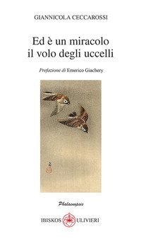 Ed &egrave; un miracolo il volo degli uccelli
